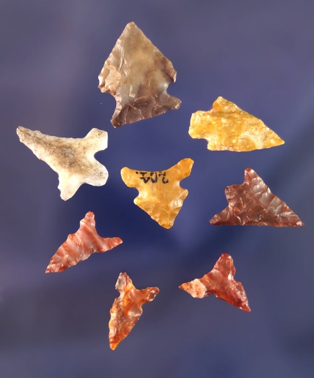 Set of 8 assorted Arrowheads found in Oregon, largest is 7/8".