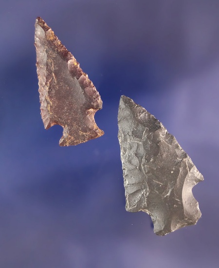 Pair of nicely styled Arrowheads found near the Columbia River, largest is 1 5/16".