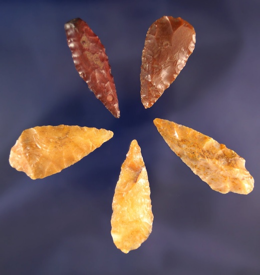 Set of 5 colorful Arrowheads found near the Coeur d' Alene River, Idaho. largest is 1 3/4".