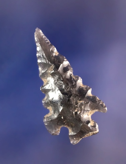 1 3/16" nicely serrated Obsidian Arrowhead found in Holt, California.