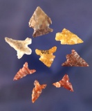 Set of 8 assorted Arrowheads found in Oregon, largest is 7/8