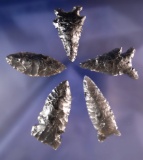 Set of 5 assorted Obsidian Arrowheads found by R. D. Mudge in Nevada. Largest is 1 7/8