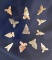 Group of 12 assorted Bird Points in nice condition found in Texas.