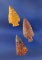 Set of three Columbia River Gempoints - Columbia River, Oregon. Largest is 1 1/16