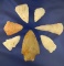 Set of seven assorted quartz arrowheads found in eastern Tennessee. Largest is 2 3/4