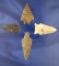 4 Arrowheads in excellent condition found in Virginia, largest is 2 1/4