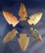 Set of six assorted Midwestern Arrowheads, largest is 2 3/8