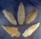 Set of five large flint knives found in Ohio, largest is 4 1/8