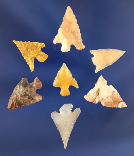 Set of seven nice Gempoints, largest is 13/16" found near the Columbia River, Washington.