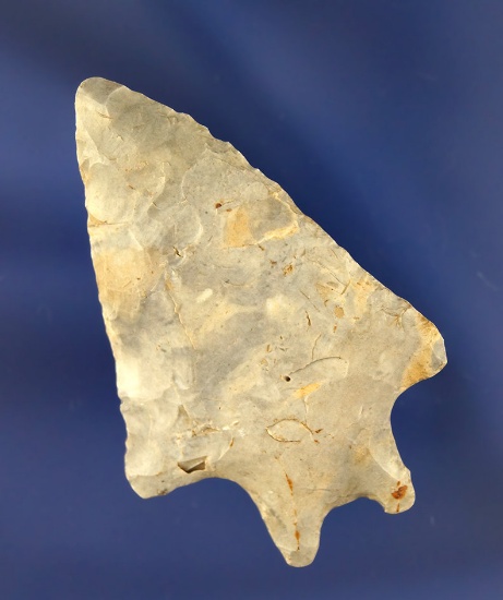 2 3/8" Coshocton Flint Bifurcated Base found in Wayne County Ohio.