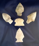 Set of five assorted arrowheads found in Benton County Missouri. Ex. Reinking & Meadows.