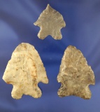 Set of 3 Bifurcate points found in Ohio. Largest is 2 1/8