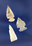 Set of three Arrowheads found by R. D. Mudge in Nevada. Largest is 1 1/8