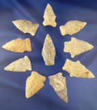 Set of 10 nicely flaked arrowheads found in Sussex County Virginia, largest is 2