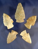 Set of five Hopewell points found in Ohio, largest is 2 9/16