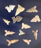 Group of 12 assorted Bird Points  in nice condition found in Texas.
