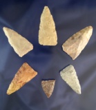 Set of six nice Triangle Points found in Texas, largest is 2 1/8