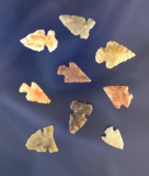 Group of 10 assorted Arrowheads, largest is 7/8
