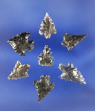 Set of seven Calapooya style Arrowheads found in Northern California. Largest is 5/8