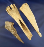 Set of three bone artifacts found in Kentucky including a 4 1/8