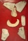 Framed group of 7 anciently worked shell artifacts found in Florida. Largest is 3 3/8