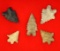 Frame of 5 Bifurcated points found in Meigs Co., Ohio. Ex. R.A. Allen. Largest is 1 3/4