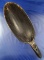 Nicely styled contemporary horn spoon/ladle.