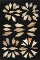 Frame of 50 Saharan Neolithic and Mesolithic point types.