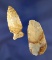 Pair of Colorful Flint Ridge Flint Arrowheads found in Knox Co., Ohio. Largest is 2 9/16