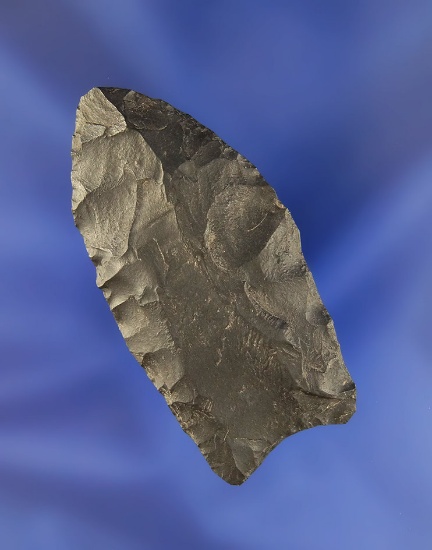 2 1/2" Fluted Paleo Clovis found in Coshocton Co., Ohio. Ex. Daniels collection.