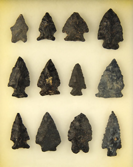 Group of 12 Coshocton flint Arrowheads in nice condition, found in Ohio. Largest is 1 5/8".