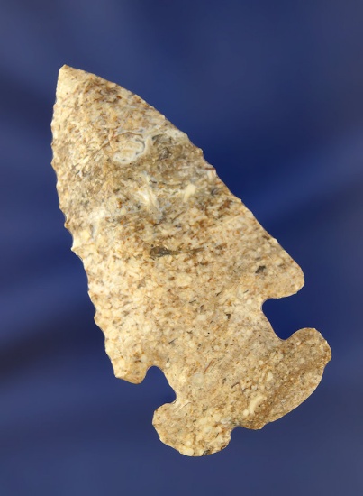 2 3/4" E-Notch Thebes found in Preble Co., Ohio.