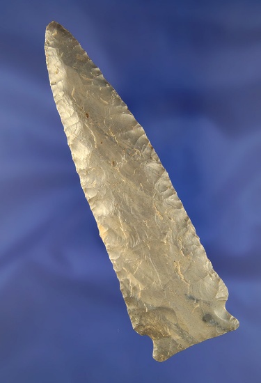 Nice! Large 5 1/4" Stillwell found in a cave in Bath Co.,  Kentucky. Made from Hornstone.