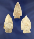 Set of 3 nice Missouri Arrowheads, largest is 2 1/2