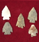 Set of 5 Pentagonal Arrowheads found in Ohio, largest is 1 3/4