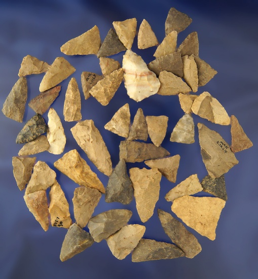 50 assorted Triangular Arrowheads found in Greenup Co., Kentucky - Judge James Claxon collection.