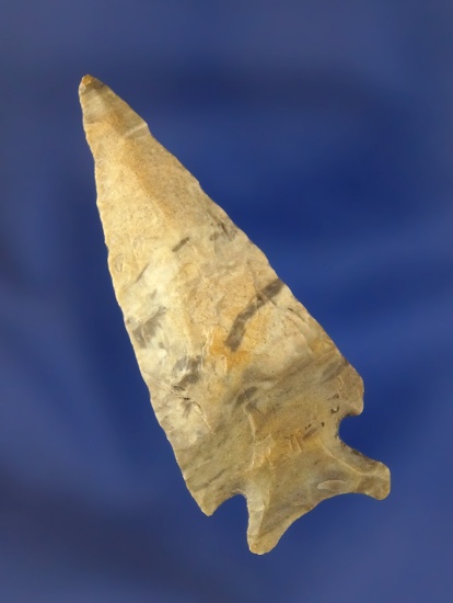 2 1/8" Caracara Arrowhead found in Texas.