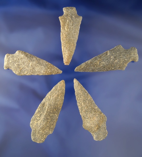 Set of five nicely styled Arrowheads found in Pennsylvania, largest is 3". All are in very good cond