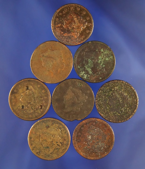 8 US Large Cents Poor Condition