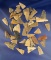 Set of 40 assorted Triangle Points  found in Greenup Co., Kentucky. From the Judge Claxton