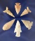 Set of six assorted Arrowheads, largest is 1 1/2