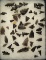 Large group of assorted Obsidian Arrowheads found in Oregon, largest is 1 1/4