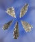 Set of five assorted Obsidian Arrowheads found in Nevada, largest is 1 1/16