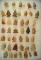 Set of 40+  assorted Arrowheads found in Greenup Co., Kentucky. From the Judge Claxton