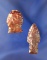 Pair of Arrowheads found it Biggs Junction Oregon including a Celilo falls point. Largest is 1 1/2