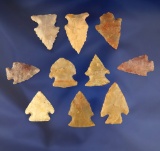 Set of 10 assorted Arrowheads found in Greenup Co., Kentucky. From the Judge Claxton