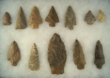 Set of 12 assorted Arrowheads and Knives, largest is 3 3/4