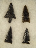 Set of 4 Western Obsidian Arrowheads, largest is 2 3/8