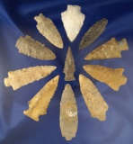 Set of 11 assorted Arrowheads found in Kentucky, largest is 2 7/8