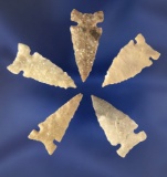 Set of five well styled Arrowheads, largest is 1 3/16